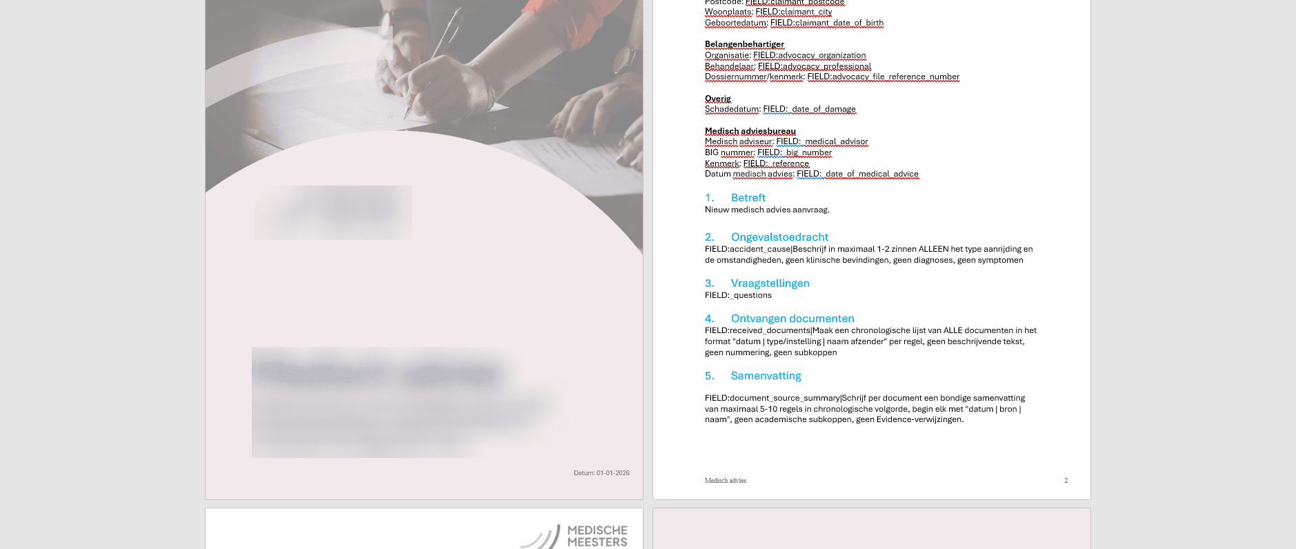 Generated expert report with structured content and citations